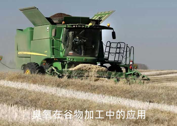 臭氧在谷物加工中的应用(1)